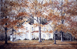 ais.gif (105675 bytes)